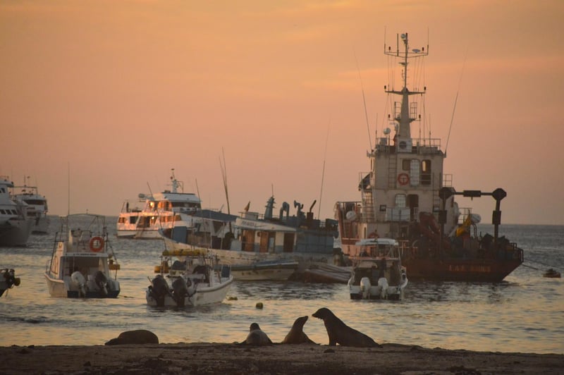 Galapagos Islands