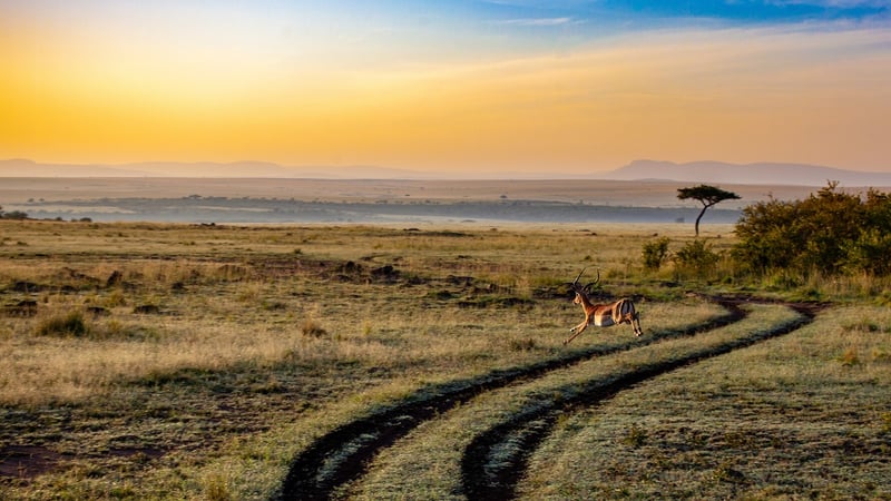Serengeti National Park
