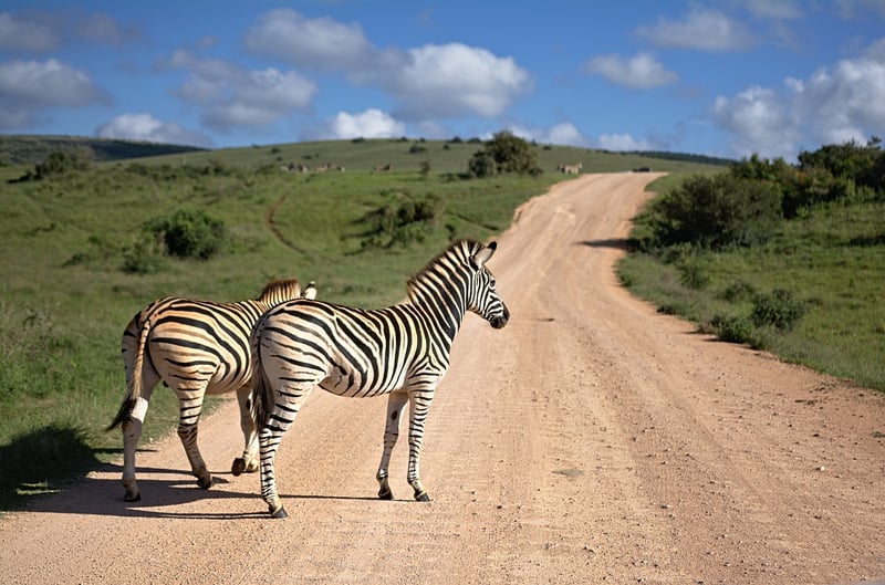 Kruger National Park